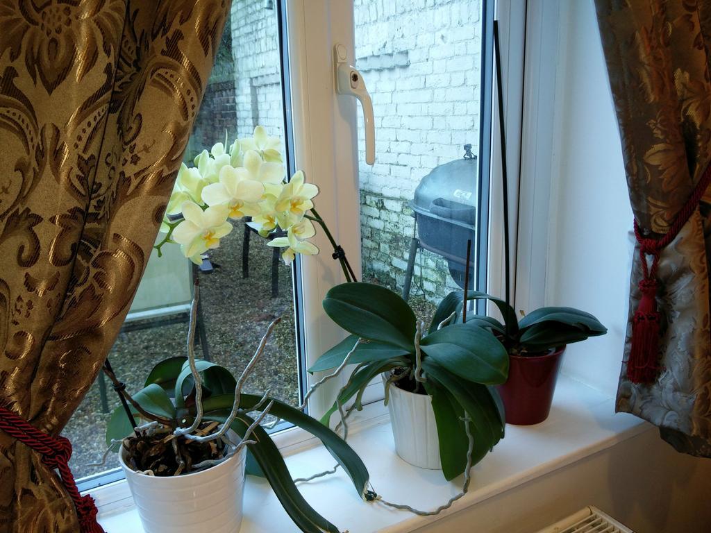 Hammersmith Apartment Brentford Luaran gambar